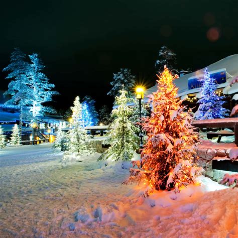 [100+] Winter Wonderland Pictures | Wallpapers.com
