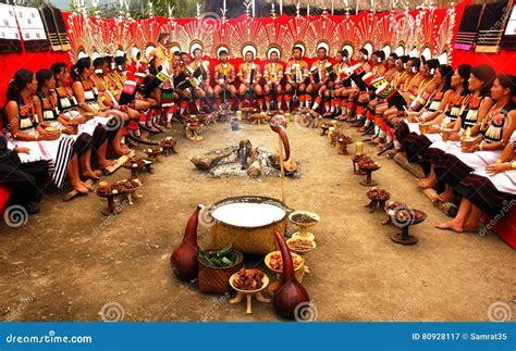 Hornbill Stock Image | CartoonDealer.com #34731439