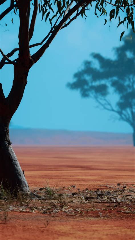 Acacia tree in African savannah 48221264 Stock Video at Vecteezy