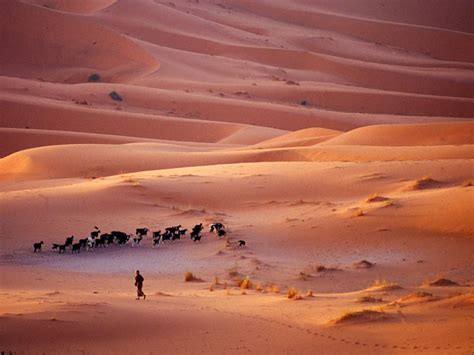 Photos: From Marrakech to the Sahara | Driving
