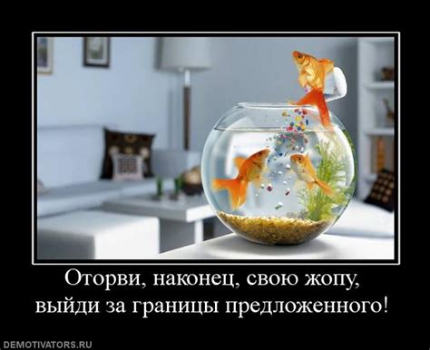 Демотиваторы дня - 21-03-2011