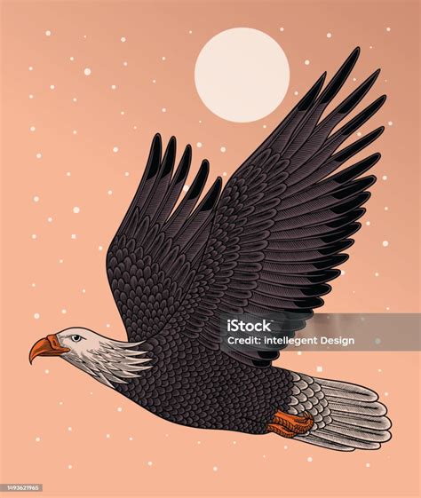 Eagle Hand Drawing Vintage Engraving Isolated On White Background Stock ...