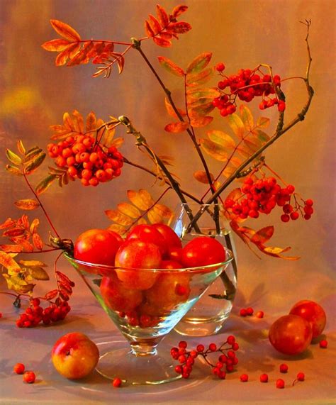 ڿڰۣ(̆̃̃ღMM | Autumn art, Autumn landscape, Flower decorations
