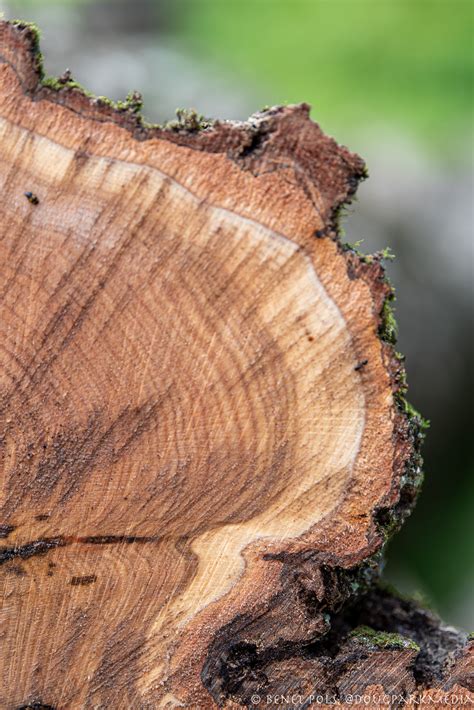 Saying Good-bye — Douglas Park Media