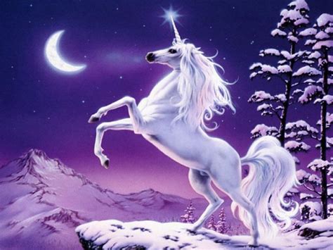 31st&Chi: A Bunch of Pictures of Unicorns.