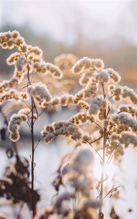 Пин от пользователя Allison на доске Photography | Обои для iphone, Обои