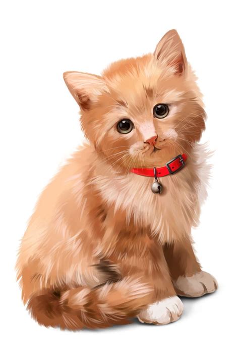 Lovely cats. Милые котики. PNG. | Милые котики, Самые милые животные ...