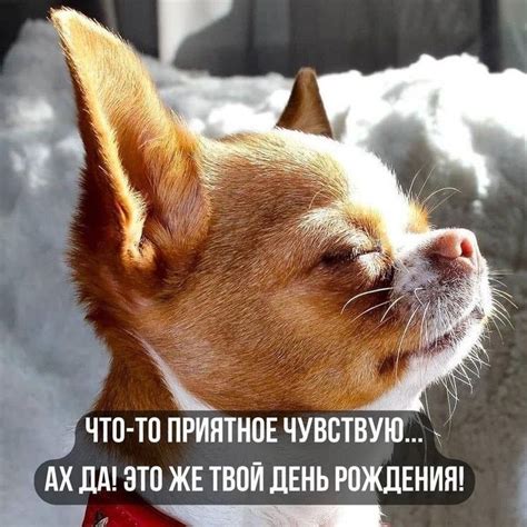 Pin by Gulnara on С ДНЁМ РОЖДЕНИЯ ! | Happy birthday pictures, Happy ...