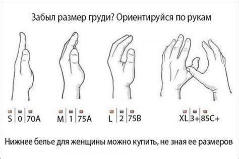 Как определить размер груди? на лифчике написано 38/85 это какой ...
