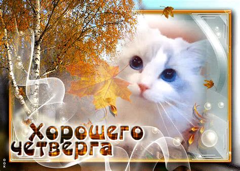Оригинальная открытка с кошкой Хорошего четверга- Скачать бесплатно на ...