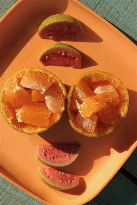 The 10 Fruits with the Most Protein (Yes, Fruits Can Be Protein-Packed!)
