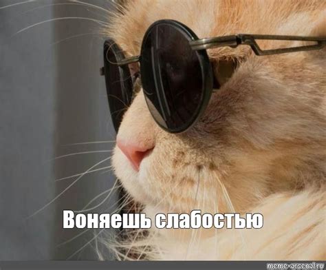 Мем: "Воняешь слабостью" - Все шаблоны - Meme-arsenal.com