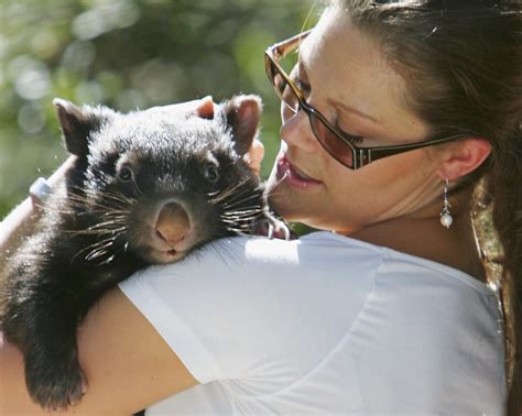 French postmen's testicles and wombat poo revelations scoop Ig Nobel awards