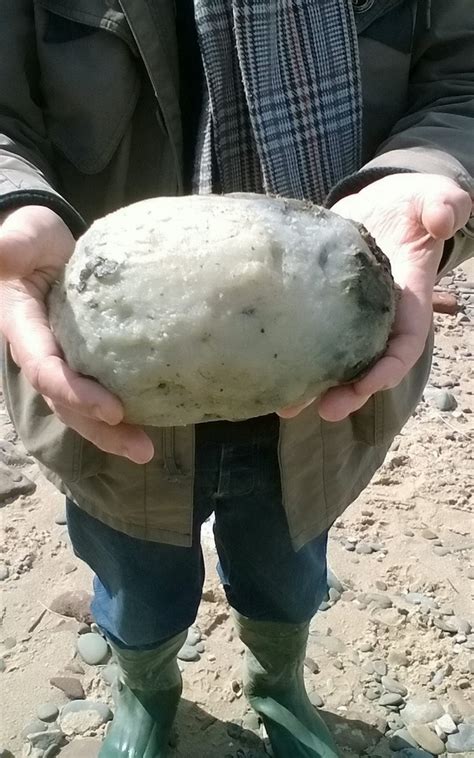 Whale vomit, faeces and urine... what's really in your perfume?