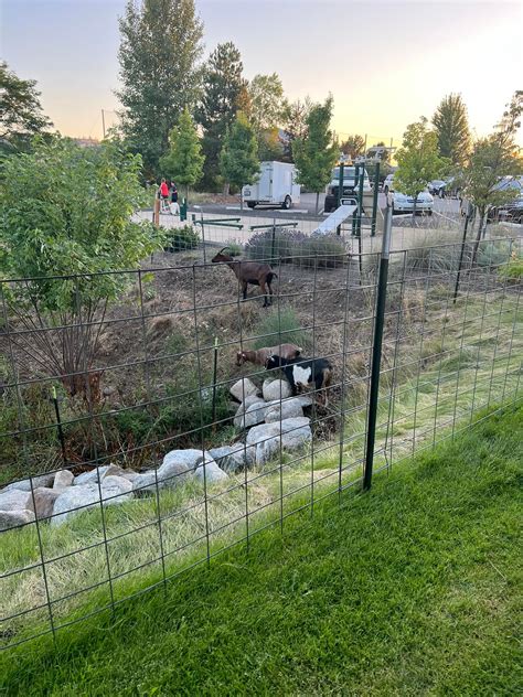 Heidi Duty - Heidi Duty added a new photo — in Liberty Lake.