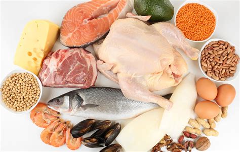 Продукты, содержащие белок, – таблица содержания животного и растительного