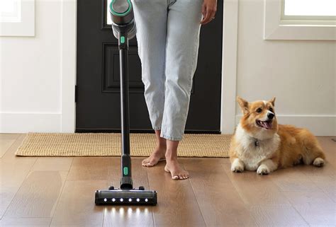 Wyze Cordless Vacuum Review: Packs a Budget-Friendly Punch | Digital Trends