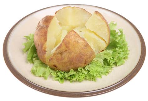 plain baked potato stock photo image  snack food