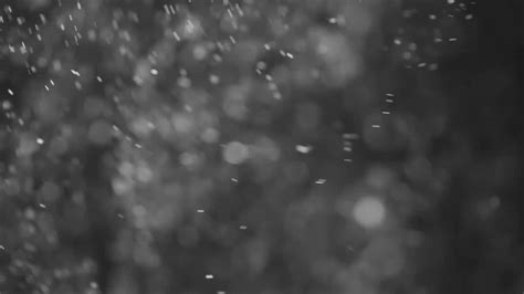 Смотри описание! Particles, частицы, пыль меловая, снег футаж. - YouTube