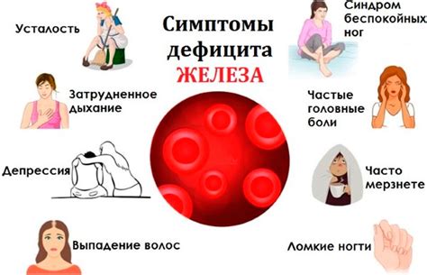 Продукты содержащие железо в большом количестве, таблица