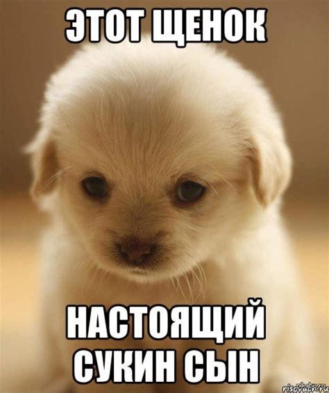 Мило, но.. | Пикабу