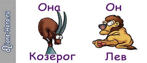 Совместимость мужчины Льва и женщины Козерога