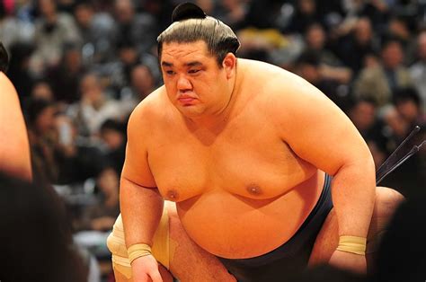 Sumo Morph