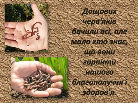 Професія дощового черв'яка - online presentation