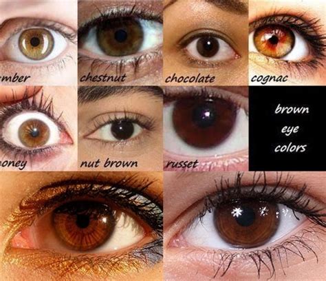 Less than fifty shades of genetically brown eyes. #MyEyeColor | Eye ...