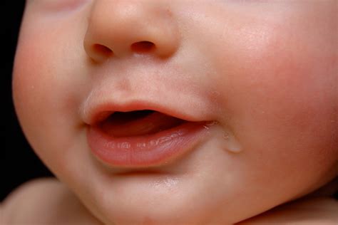 The Power of Saliva – Hey Freya Co