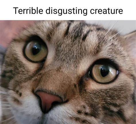 Terrible disgusting creature - iFunny Brazil