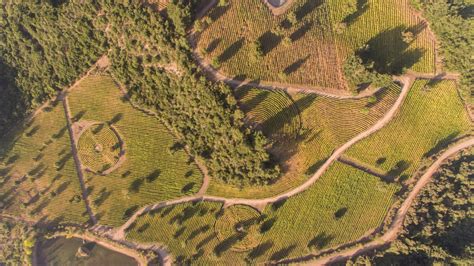 Laberinto Wines