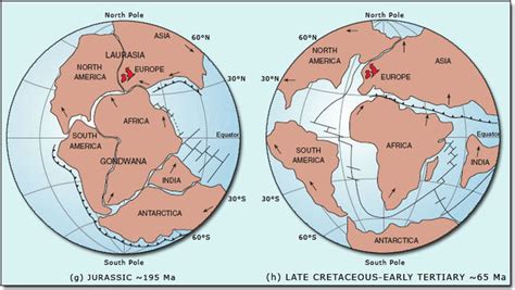 History of earth timeline project by Ryan Fosner | Timetoast timelines