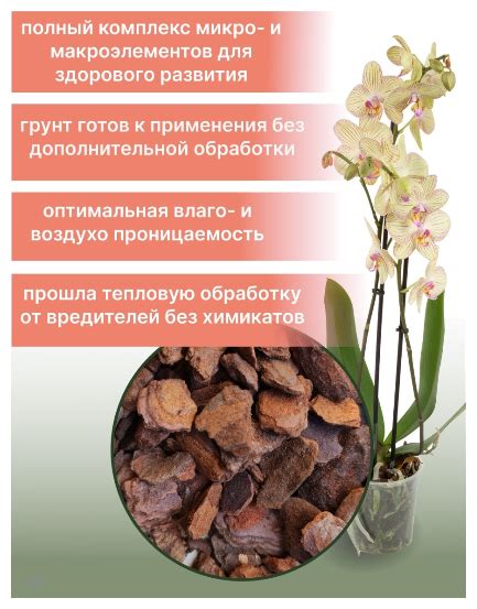 Орхиата — купить в интернет-магазине по низкой цене на Яндекс Маркете