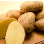 Сорт картофеля «Колетте» – описание и фото