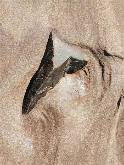 Tawnee Stone Photos, Download The BEST Free Tawnee Stone Stock Photos