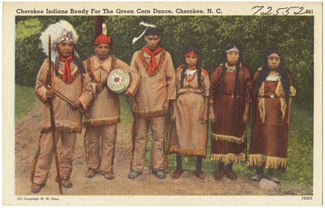 cherokee tribe facts  fun  history