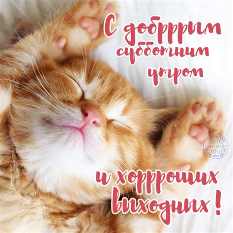 С добрым субботним утром! 112 картинок