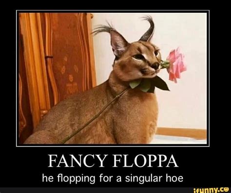 FANCY FLOPPA he flopping for a singular hoe - iFunny