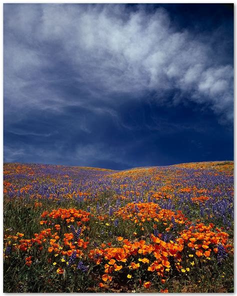 fotki fascinantne fotke prirode