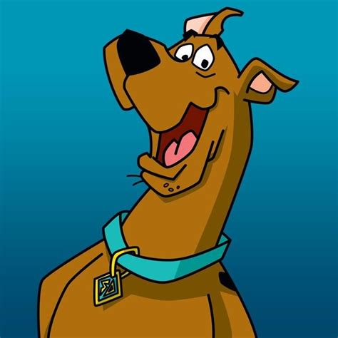17 Best images about Scooby Doo on Pinterest | The scooby doo show ...