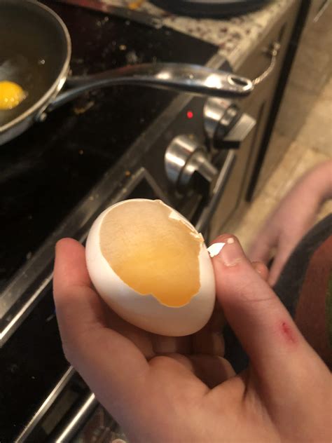 This egg membrane : r/mildlyinteresting