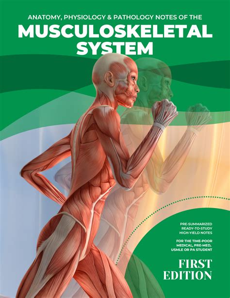 Musculoskeletal System by Undefined Author online @ Artsum India