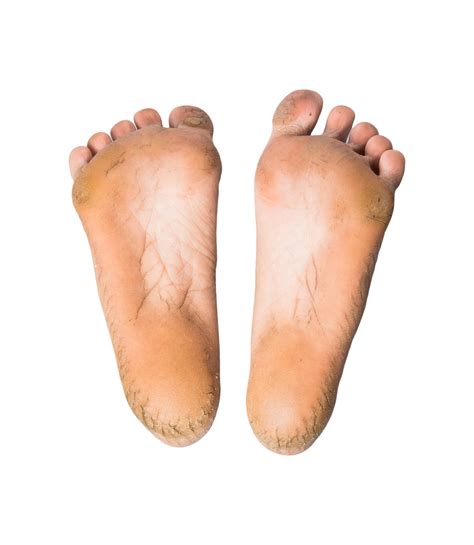 pie  par de pies descalzos sobre fondo aislado  png
