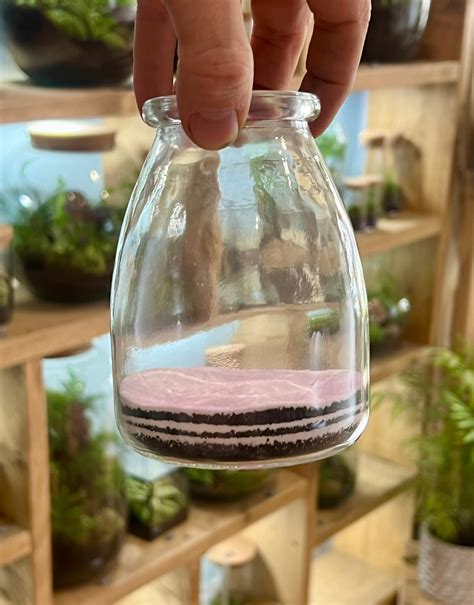 Como Hacer Un Terrario Escolar 1