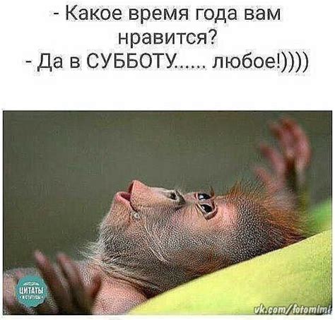 БОЛЬШИЕ Открытки на стену ! | Funny expressions, Funny animal jokes ...