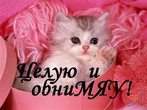 Картинки Люблю, целую, обнимаю! (41 фото) 🔥 BipBap.ru