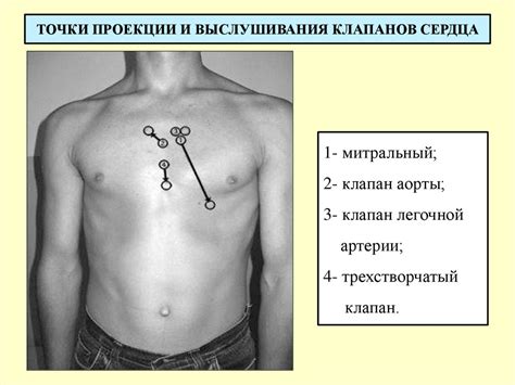 Сердечно-сосудистая система - презентация онлайн