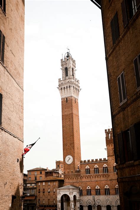 Medival Pictures | Download Free Images on Unsplash