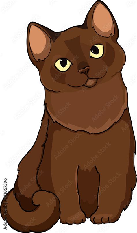 Burmese cat cartoon vector illustration. chocolate brown burmese breed ...